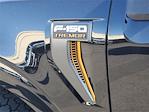 2025 Ford F-150 SuperCrew Cab 4WD Pickup for sale #00251733 - photo 18