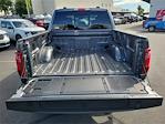 2025 Ford F-150 SuperCrew Cab 4WD Pickup for sale #00251742 - photo 23