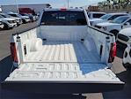 2025 Ford F-150 SuperCrew Cab 4WD Pickup for sale #00251757 - photo 20