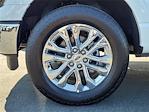 2025 Ford F-150 SuperCrew Cab 4WD Pickup for sale #00251757 - photo 24