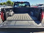 2025 Ford F-150 Regular Cab 4WD Pickup for sale #00251792 - photo 20