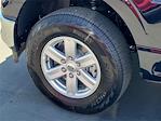 2025 Ford F-150 Regular Cab 4x4 Pickup for sale #00251794 - photo 20