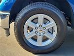 2025 Ford F-150 SuperCrew Cab 4WD Pickup for sale #00251799 - photo 22