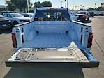 2025 Ford F-150 SuperCrew Cab 4WD Pickup for sale #00251808 - photo 20