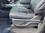 New 2025 Ford F-150 XLT SuperCrew Cab for sale #00251830 - photo 14