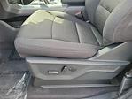 2025 Ford F-150 SuperCrew Cab RWD Pickup for sale #00251926 - photo 14