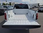 2025 Ford F-150 SuperCrew Cab RWD Pickup for sale #00251926 - photo 19