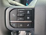 2025 Ford F-150 SuperCrew Cab RWD Pickup for sale #00251926 - photo 5