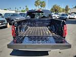 2025 Ford F-150 SuperCrew Cab 4WD Pickup for sale #00252017 - photo 19