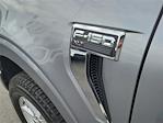 2025 Ford F-150 SuperCrew Cab 4WD Pickup for sale #00252018 - photo 22