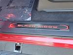2025 Ford F-150 SuperCrew Cab 4WD Pickup for sale #00252038 - photo 16