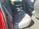 2025 Ford F-150 SuperCrew Cab 4WD Pickup for sale #00252038 - photo 19