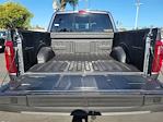 2025 Ford F-150 SuperCrew Cab 4WD Pickup for sale #00252046 - photo 21