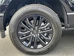 2025 Ford F-150 SuperCrew Cab 4WD Pickup for sale #00252060 - photo 23