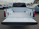 2025 Ford F-150 SuperCrew Cab 4WD Pickup for sale #00252074 - photo 20