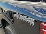 2025 Ford F-150 SuperCrew Cab 4WD Pickup for sale #00252080 - photo 17