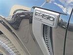 2025 Ford F-150 SuperCrew Cab 4WD Pickup for sale #00252080 - photo 19