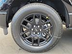 2025 Ford F-150 SuperCrew Cab 4WD Pickup for sale #00252080 - photo 21