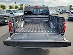 2025 Ford F-150 SuperCrew Cab 4WD Pickup for sale #00252082 - photo 19