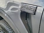 2025 Ford F-150 SuperCrew Cab 4WD Pickup for sale #00252082 - photo 23