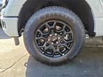 2025 Ford F-150 SuperCrew Cab 4WD Pickup for sale #00252094 - photo 28