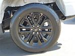 2025 Ford F-150 SuperCrew Cab 4WD Pickup for sale #00252095 - photo 19