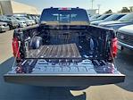 2025 Ford F-150 SuperCrew Cab 4WD Pickup for sale #00252098 - photo 17