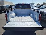 2025 Ford F-150 SuperCrew Cab 4WD Pickup for sale #00252100 - photo 19