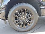 2025 Ford F-150 SuperCrew Cab 4WD Pickup for sale #00252112 - photo 20
