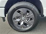 2025 Ford F-150 SuperCrew Cab 4WD Pickup for sale #00252124 - photo 20
