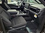 2025 Ford F-150 SuperCrew Cab RWD Pickup for sale #00252129 - photo 15
