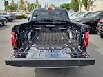 2025 Ford F-150 SuperCrew Cab RWD Pickup for sale #00252129 - photo 19