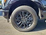 2025 Ford F-150 SuperCrew Cab 4WD Pickup for sale #00252131 - photo 25