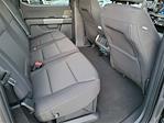 2025 Ford F-150 SuperCrew Cab 4WD Pickup for sale #00252141 - photo 17