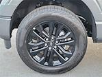 2025 Ford F-150 SuperCrew Cab 4WD Pickup for sale #00252141 - photo 25