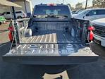 2025 Ford F-150 Lightning SuperCrew Cab AWD Pickup for sale #00252159 - photo 19