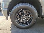 2025 Ford F-150 Lightning SuperCrew Cab AWD Pickup for sale #00252159 - photo 25