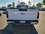 2025 Ford F-150 Regular Cab RWD Pickup for sale #00252168 - photo 16