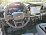 2025 Ford F-150 Regular Cab RWD Pickup for sale #00252168 - photo 4