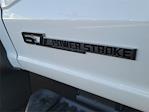 New 2025 Ford F-550 Regular Cab Landscape Dump for sale #00252366 - photo 20