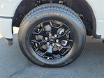 2025 Ford F-150 Lightning SuperCrew Cab AWD Pickup for sale #00252471 - photo 23