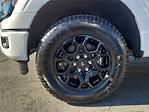 2025 Ford F-150 SuperCrew Cab 4WD Pickup for sale #00252473 - photo 24