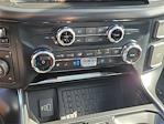 New 2025 Ford F-150 Raptor SuperCrew Cab for sale #00252494 - photo 14