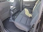 2026 Ford F-150 SuperCrew Cab 4WD Pickup for sale #00260455 - photo 20