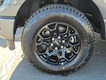 New 2026 Ford F-150 XLT SuperCrew Cab for sale #00260466 - photo 28