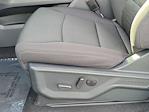 2026 Ford F-150 SuperCrew Cab 4WD Pickup for sale #00260483 - photo 17