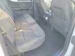 2026 Ford F-150 SuperCrew Cab RWD Pickup for sale #00260543 - photo 13