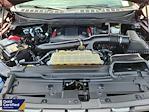 Used 2021 Ford F-150 Raptor SuperCrew Cab 4x4 Pickup for sale #00A50249 - photo 29