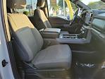2024 Ford F-150 SuperCrew Cab 4WD Pickup for sale #00A50933 - photo 19