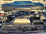 2024 Ford F-150 SuperCrew Cab 4WD Pickup for sale #00A50933 - photo 27
